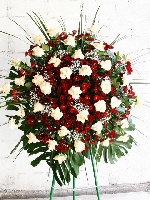 Coroa 01
