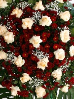 Coroa 01