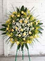 Coroa 02