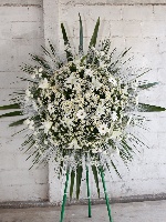 Coroa 03