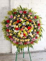 Coroa 04