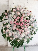 Coroa 05